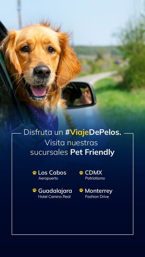 Imagen 46+ imagen hertz aeropuerto monterrey telefono Thptletrongtan